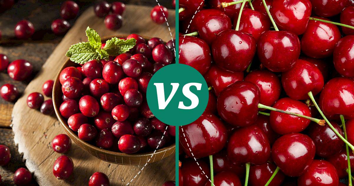 Cherries vs Cranberry Health Insights