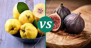 Figs - calories, kcal, weight, nutrition