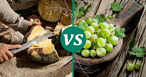 Gooseberry - calories, kcal, weight, nutrition