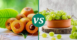 Grapes - calories, kcal, weight, nutrition