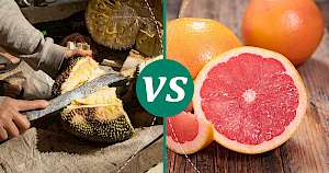 Grapefruit - calories, kcal, weight, nutrition
