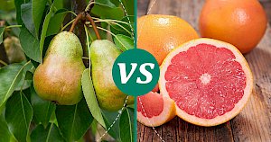 Grapefruit - calories, kcal, weight, nutrition
