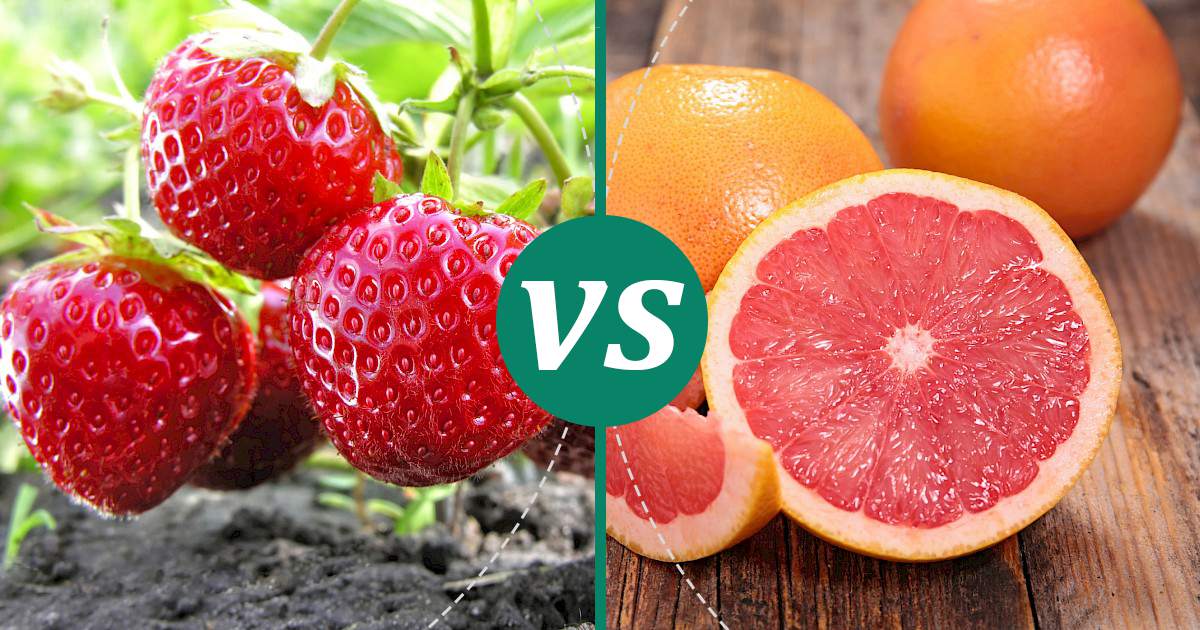 Grapefruit vs Strawberries Nutrition Showdown