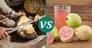Guava - calories, kcal, weight, nutrition
