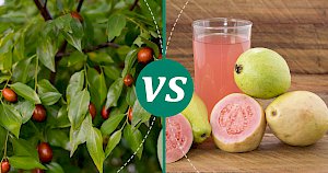 Guava - calories, kcal, weight, nutrition