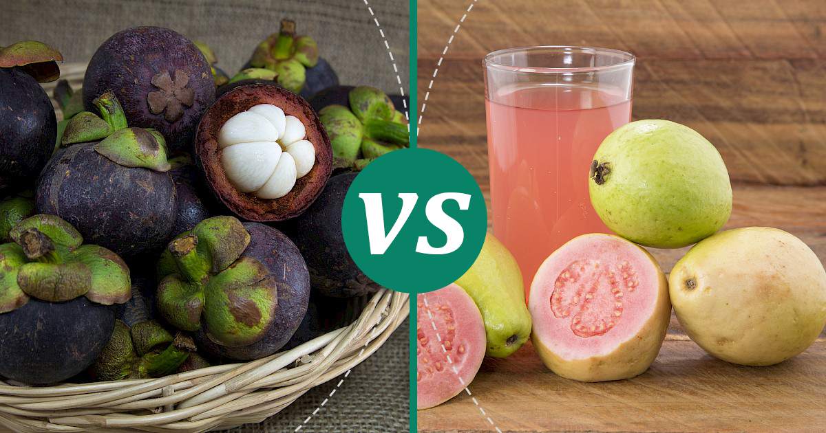 Guava vs Mangosteen What Should You Choose?