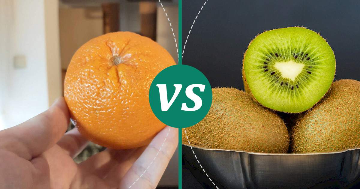 Kiwi vs Orange Nutrition Comparison