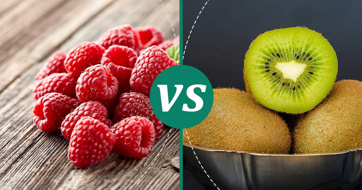 Kiwi vs Raspberry Choose Wisely