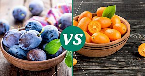 Kumquats - calories, kcal, weight, nutrition