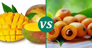Loquat - calories, kcal, weight, nutrition