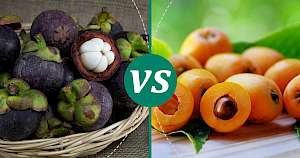 Loquat - calories, kcal, weight, nutrition