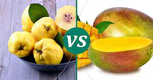 Mango - calories, kcal, weight, nutrition
