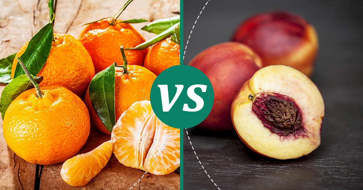 Nectarine vs Mandarin (Tangerine) Choose Wisely