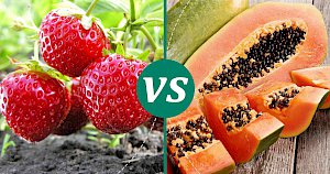 Papaya - calories, kcal, weight, nutrition