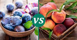 Peach - calories, kcal, weight, nutrition