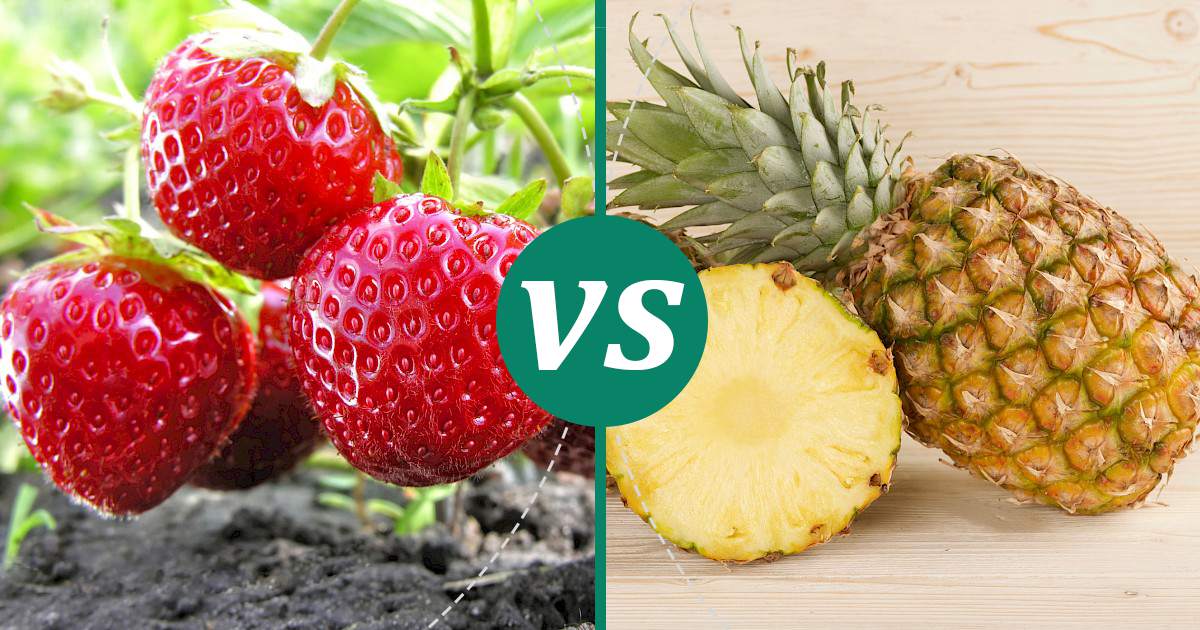 Pineapple vs Strawberries Nutrition Guide