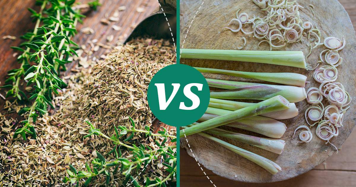 Lemongrass vs Thyme Nutrition Showdown