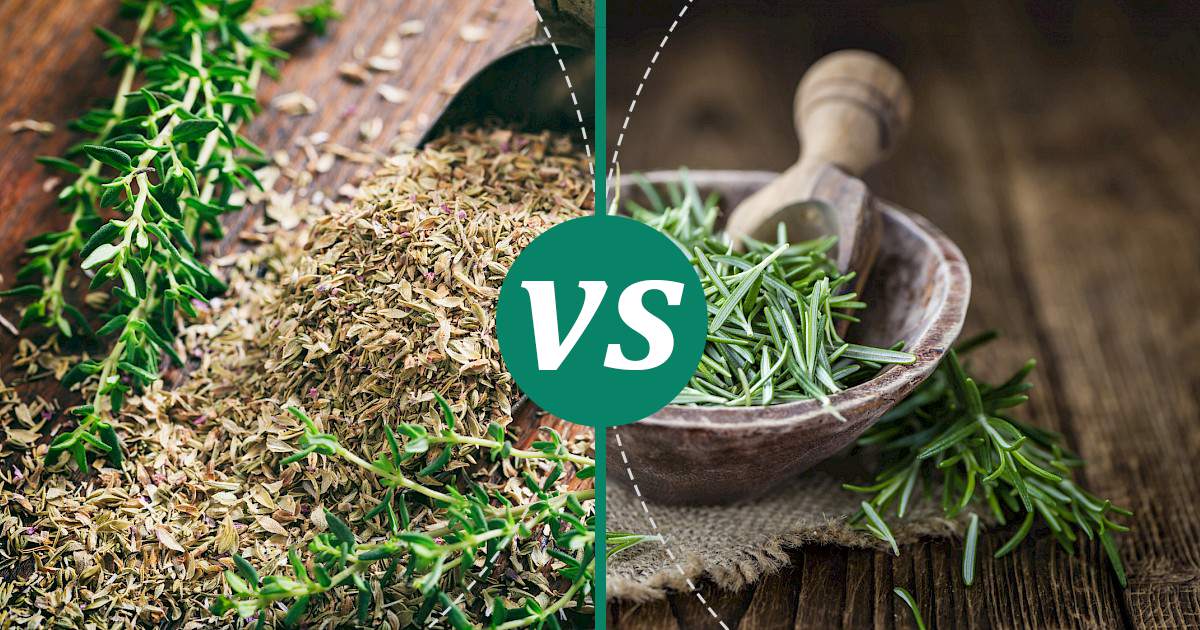 Rosemary vs Thyme Nutrition Comparison