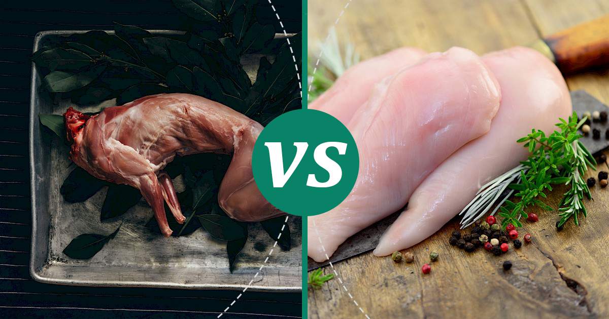 Chicken Breast vs Rabbit Meat: Nutrition & Calories Compare