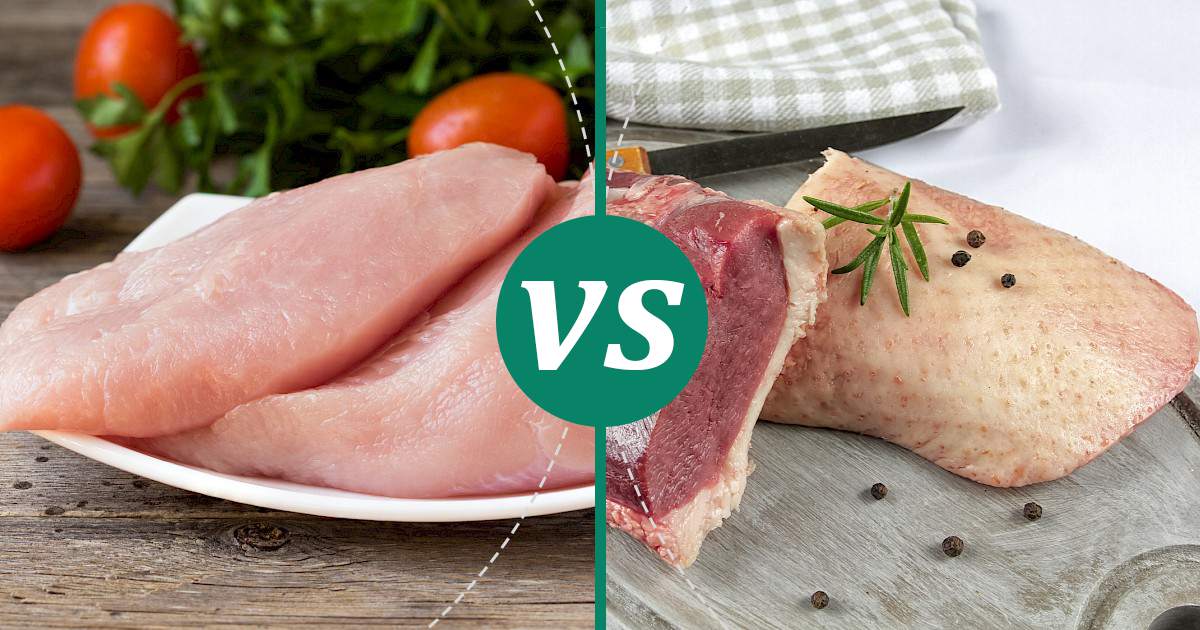 Duck Breast vs Turkey Breast The Healthier Choice
