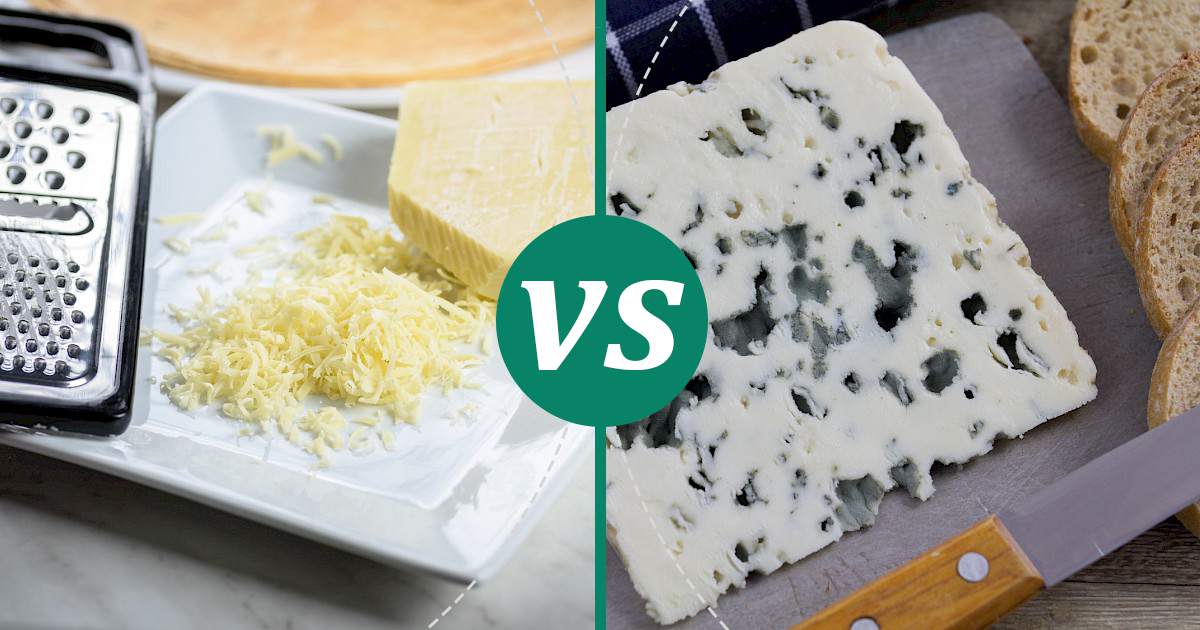 Blue Cheese vs Cheddar What Should You Choose?