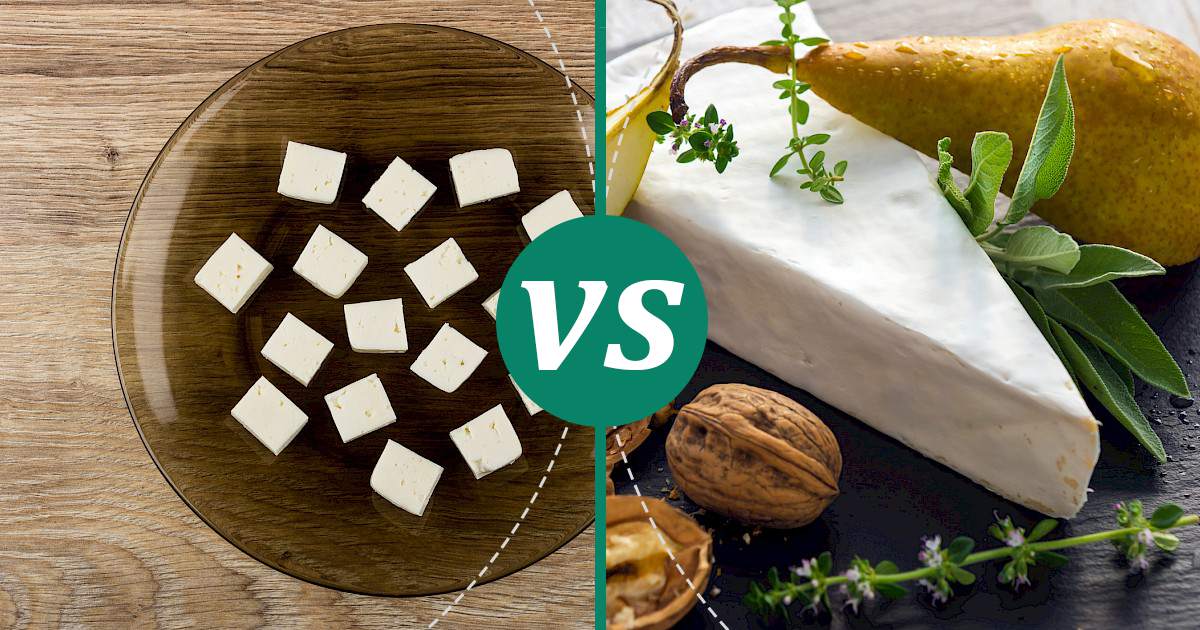 Brie vs Feta Cheese Make Healthy Choices