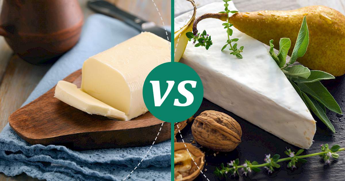 Brie vs Butter Nutrition Showdown